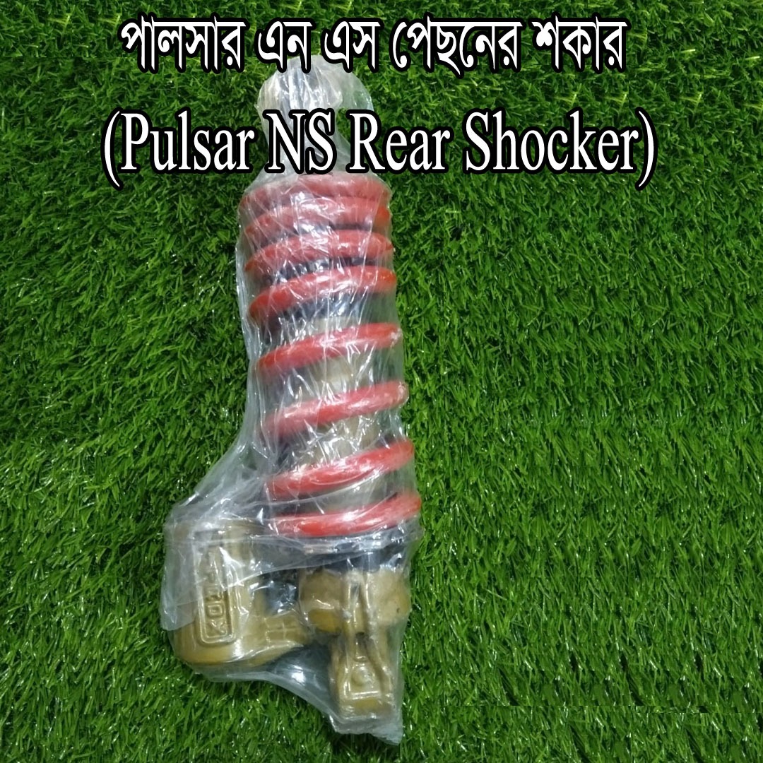 শকার-Pulsar NS Rear