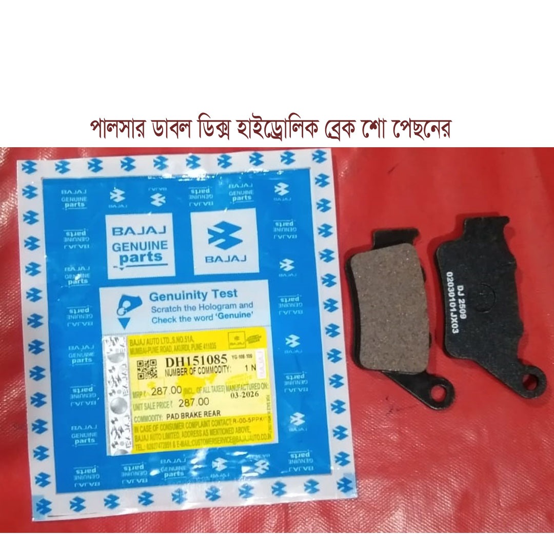 পালসার ডাবল ডিক্স হাইড্রোলিক ব্রেক শো পেছনের