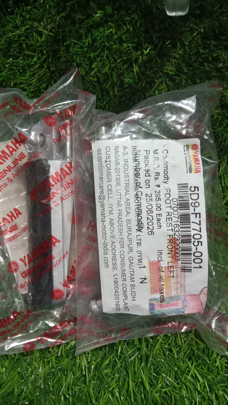 FZ সামনের পাদানী